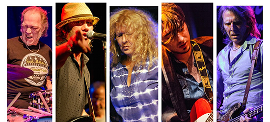 The Hamburg Blues Band
